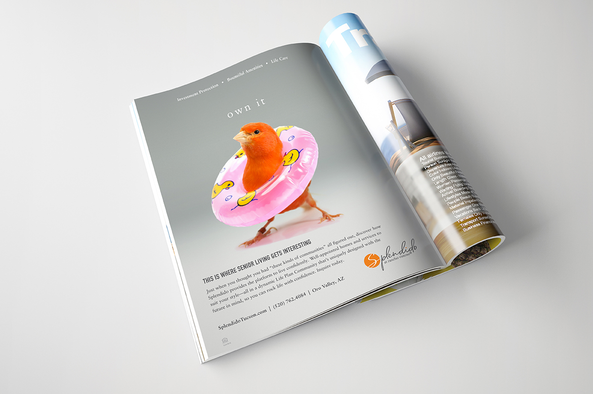 Mather Splendido Print Ad - bird with inner tube