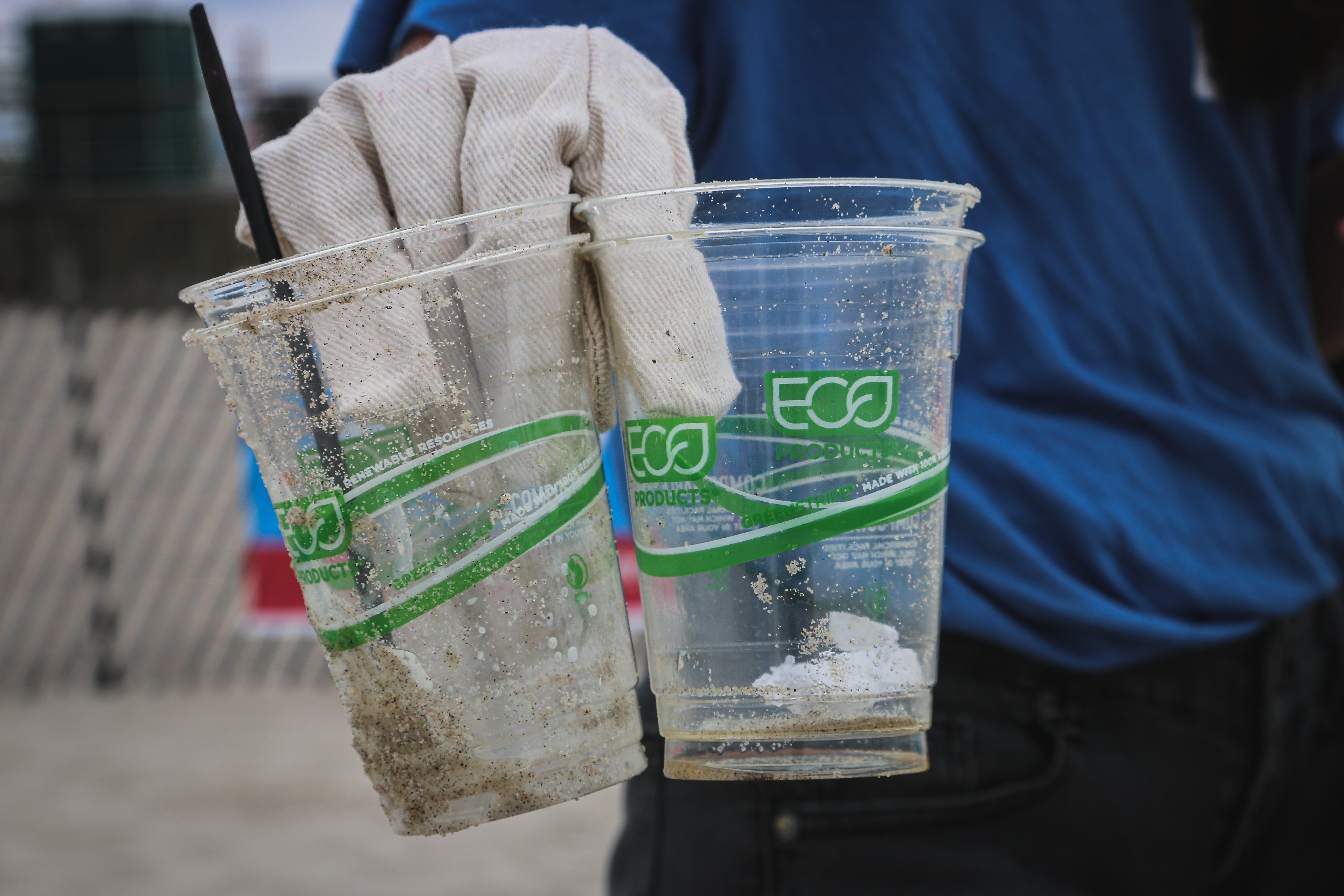 'Eco' plastic cups found on beach 